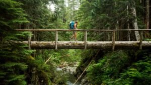 Olympic National Park Travel Guide for First-Time Visitors